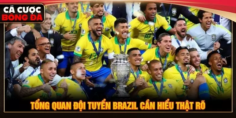 Tổng quan đội tuyển Brazil cần hiểu thật rõ