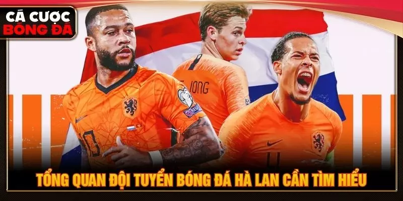 Tổng quan đội tuyển bóng đá Hà Lan cần tìm hiểu