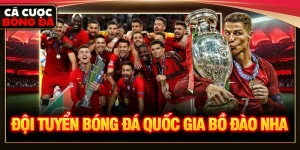 đội tuyển bóng đá quốc gia bồ đào nha