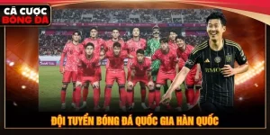 đội tuyển bóng đá quốc gia Hàn Quốc