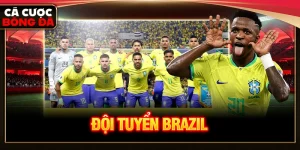 đội tuyển brazil