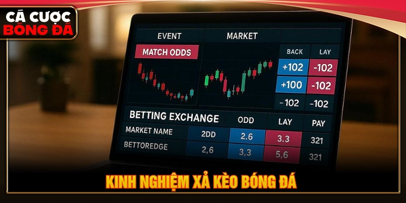 Kinh nghiệm xả kèo bóng đá cho người mới 