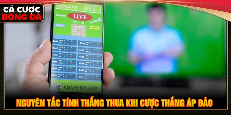 Nguyên tắc tính thắng thua khi cược thắng áp đảo 