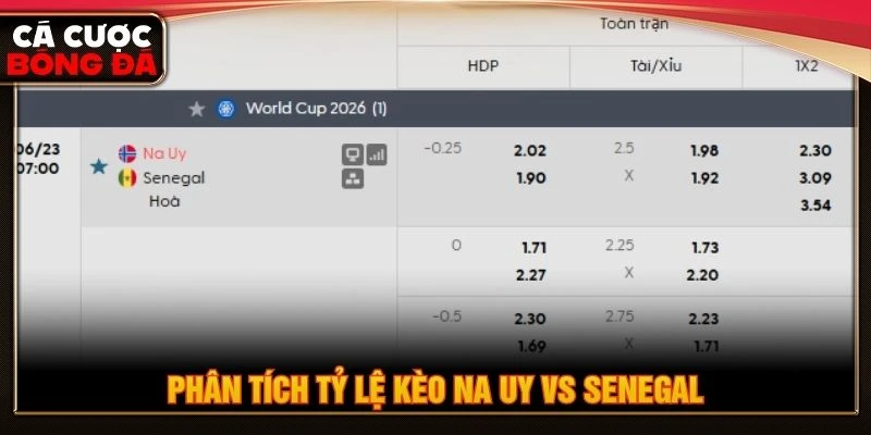 Phân tích tỷ lệ kèo Na Uy vs Senegal Phân tích tỷ lệ kèo Na Uy vs Senegal