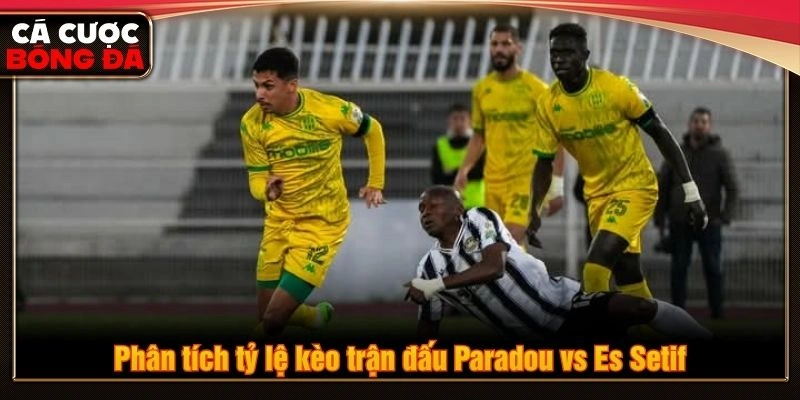Phân tích tỷ lệ kèo trận đấu Paradou vs Es Setif Phân tích tỷ lệ kèo trận đấu Paradou vs Es Setif