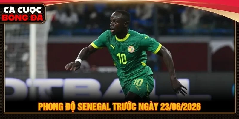 Phong độ Senegal trước ngày 23/06/2026 Phong độ Senegal trước ngày 23/06/2026