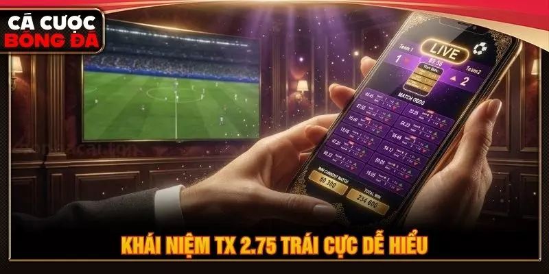 Khái niệm TX 2.75 trái cực dễ hiểu