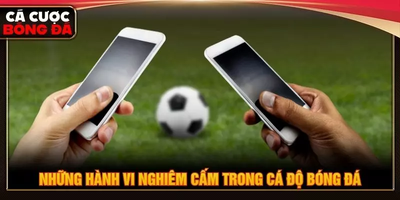 Những hành vi nghiêm cấm trong cá độ bóng đá