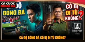Cá Độ Bóng Đá Có Bị Đi Tù Không?