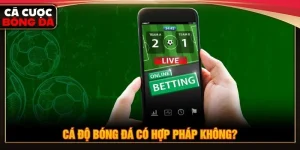 cá độ bóng đá có hợp pháp không