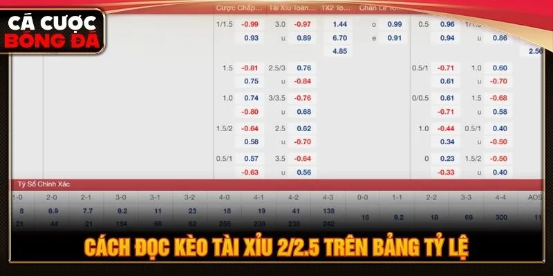 Hướng dẫn người xem đọc kèo tài xỉu chi tiết