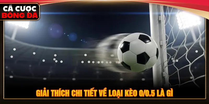 Kèo 0/0.5 là gì thắc mắc phổ biến của người chơi bóng đá