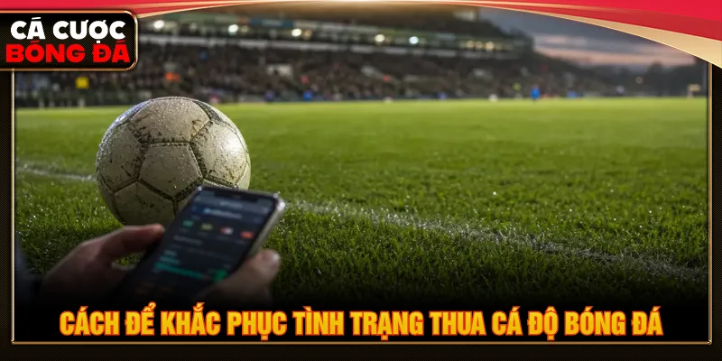 Làm gì khi thua cá độ bóng đá với cách giúp thắng dễ dàng
