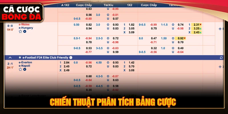 Những bí quyết soi kèo chấp 0.5 trái là gì