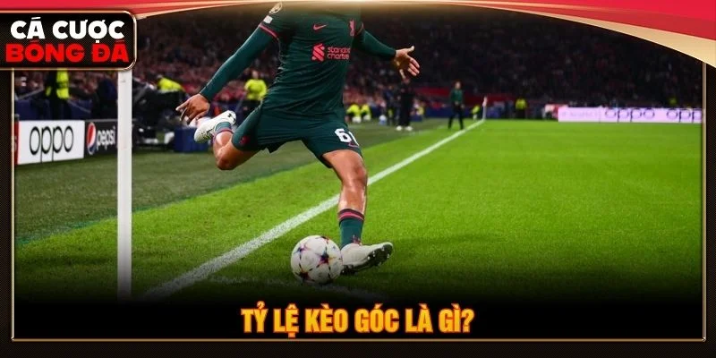 Thuật ngữ này dùng để chỉ các mức tỷ lệ dựa trên số quả phạt góc