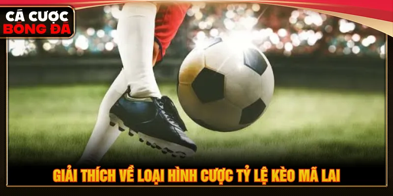 Tỷ lệ kèo Mã Lai được sử dụng mức cược dương và âm